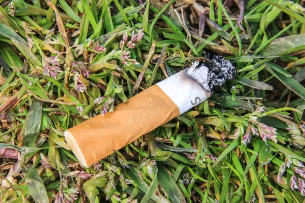 Glühende Zigaretten bergen in der Natur eine hohe Brandgefahr