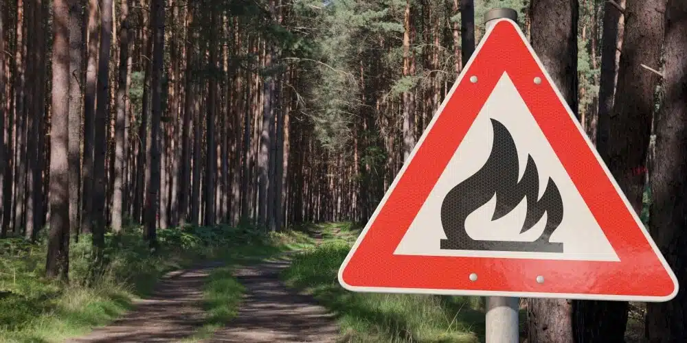 Nicht nur Waldbrände werden in Deutschland immer häufiger. Durch den Klimawandel treten allgemein vermehrt Vegetationsbrände auf. Deswegen ist jetzt ein nationales Konzept zur Vegetationsbrandbekämpfung erschienen