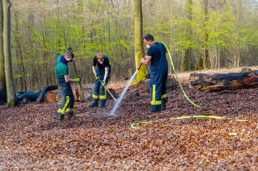 Das Feuer hatte sich bereits in den Waldboden vorgearbeitet. Deswegen mussten die Kräfte mit Haken und Harken den Boden umgraben.