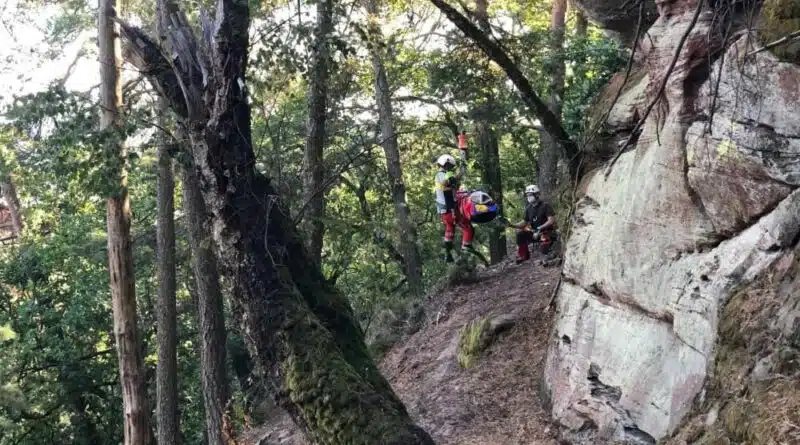 Windeneinsatz: Christoph 54 im Pfälzer Wald