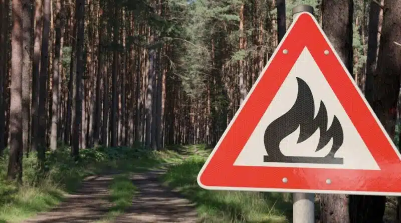 Nicht nur Waldbrände werden in Deutschland immer häufiger. Durch den Klimawandel treten allgemein vermehrt Vegetationsbrände auf. Deswegen ist jetzt ein nationales Konzept zur Vegetationsbrandbekämpfung erschienen