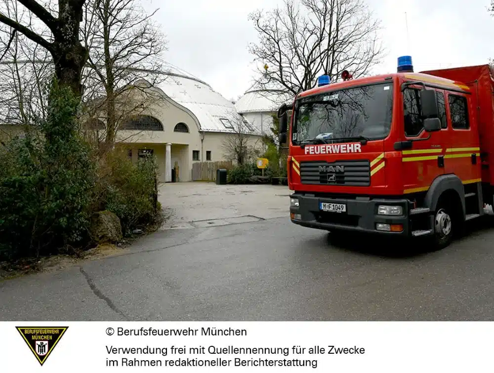 Die Feuerwehr München bekommt von den Elefanten des Tierparks Hellabrunn tierische Unterstützung.
