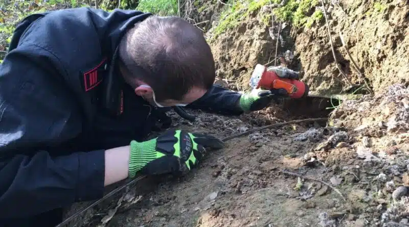 Zur Suche nach einem Hund rückte die Feuerwehr Erkrath am Morgen des 1. April 2021 aus.