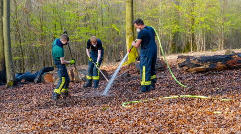 Das Feuer hatte sich bereits in den Waldboden vorgearbeitet. Deswegen mussten die Kräfte mit Haken und Harken den Boden umgraben.