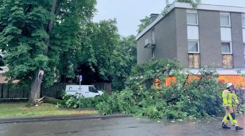 Am Morgen des 21. Juni 2021 brachten Windböen einen Baumstamm zum Bersten. Dieser stürzte auf ein angrenzendes Hotel und die dortige Straße.
