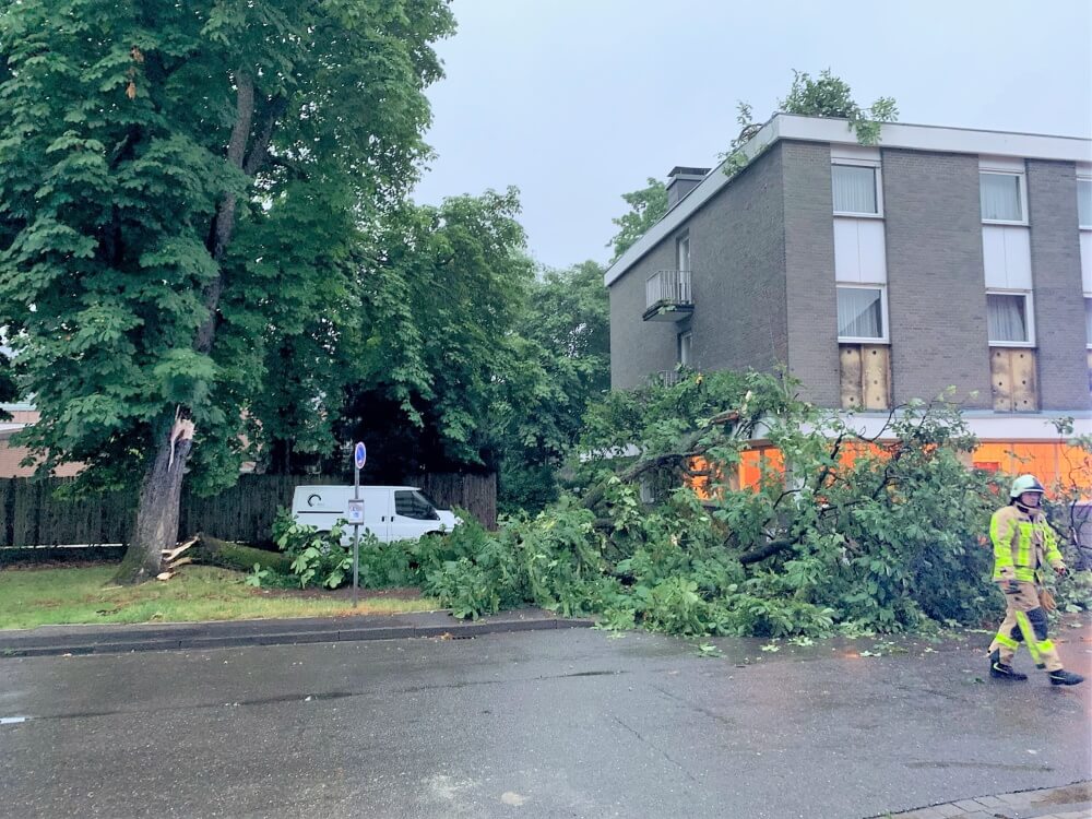 Am Morgen des 21. Juni 2021 brachten Windböen einen Baumstamm zum Bersten. Dieser stürzte auf ein angrenzendes Hotel und die dortige Straße.