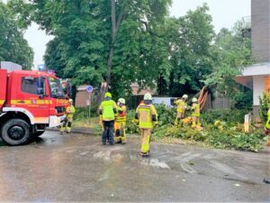Nachdem das Dach gesichert war, zerlegten die Einsatzkräfte den, durch Windböen umgestürzten, Stamm.