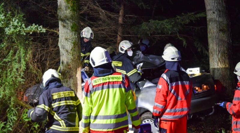 Um den Patienten schnell aus dem Fahrzeug zu befreien, nahmen die Rettungskräfte das Dach des Autos ab.