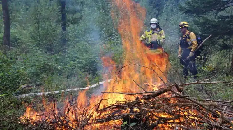 Gemeinsam mit @fire führte u. a. die Feuerwehr Kirchehrenbach die Übung durch.