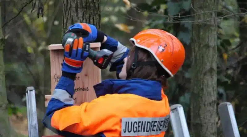 Fledermauskasten wird angebracht