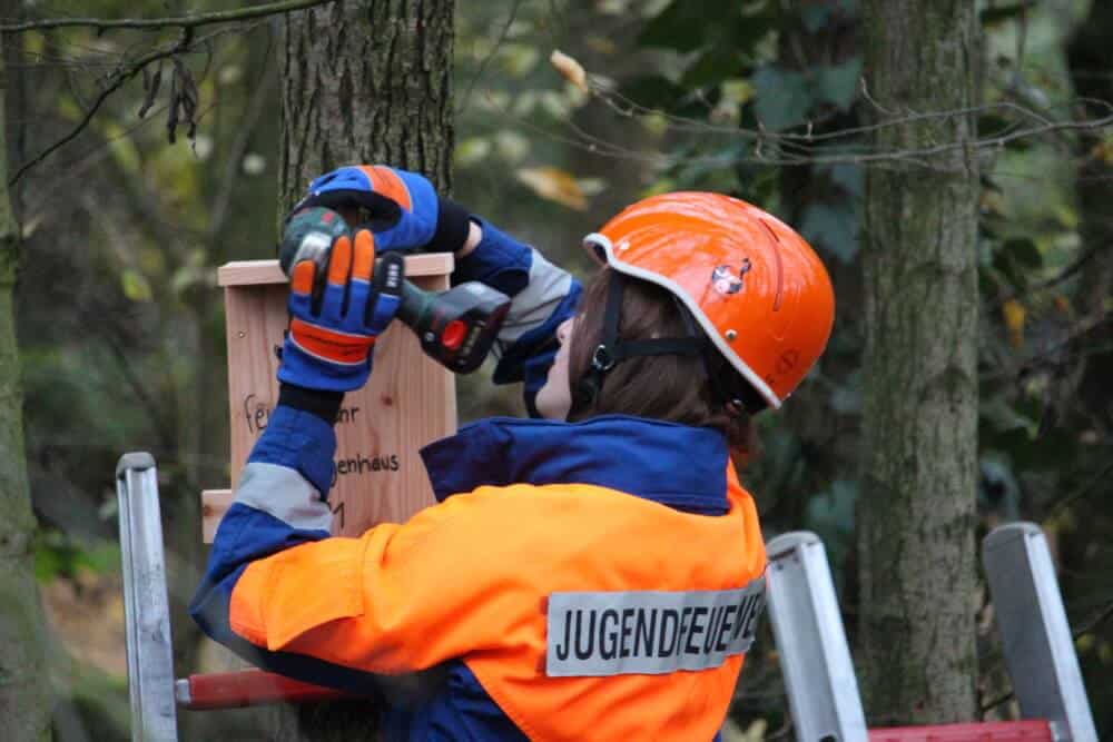 Fledermauskasten wird angebracht