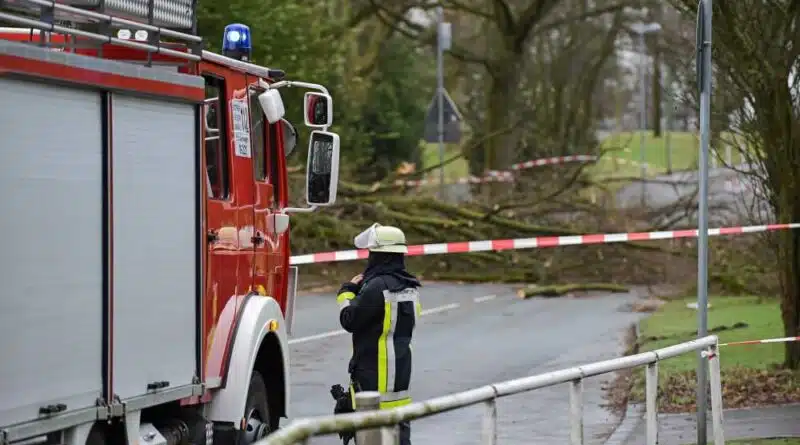 Eine Einsatzkraft vor umgefallenen Bäumen.