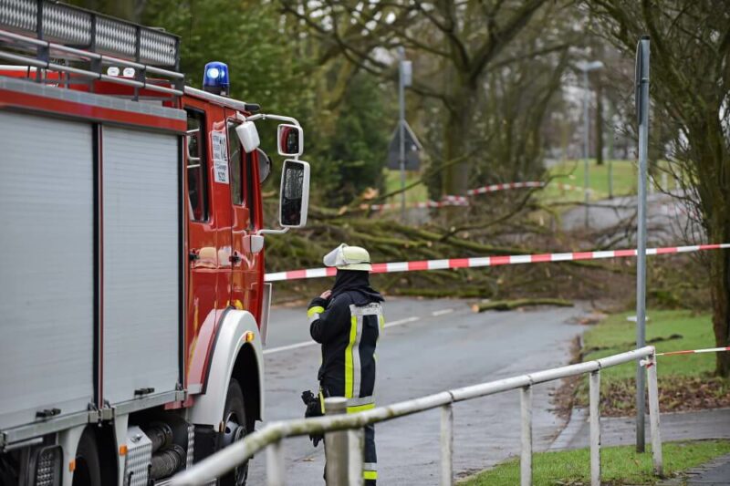 Eine Einsatzkraft vor umgefallenen Bäumen.