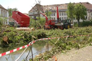 Sturmschaden an Bäumen in der Innenstadt