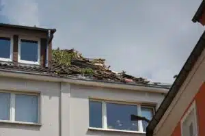 Dach mit Baumteilen.