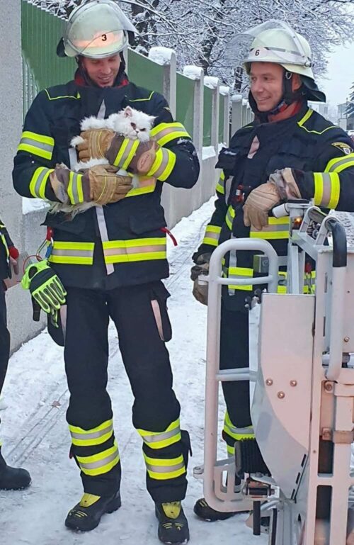 Feuerwehrmänner mit geretteter Katze