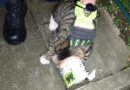 Feuerwehrmann mit der Katze, die in der Dose klemmt.