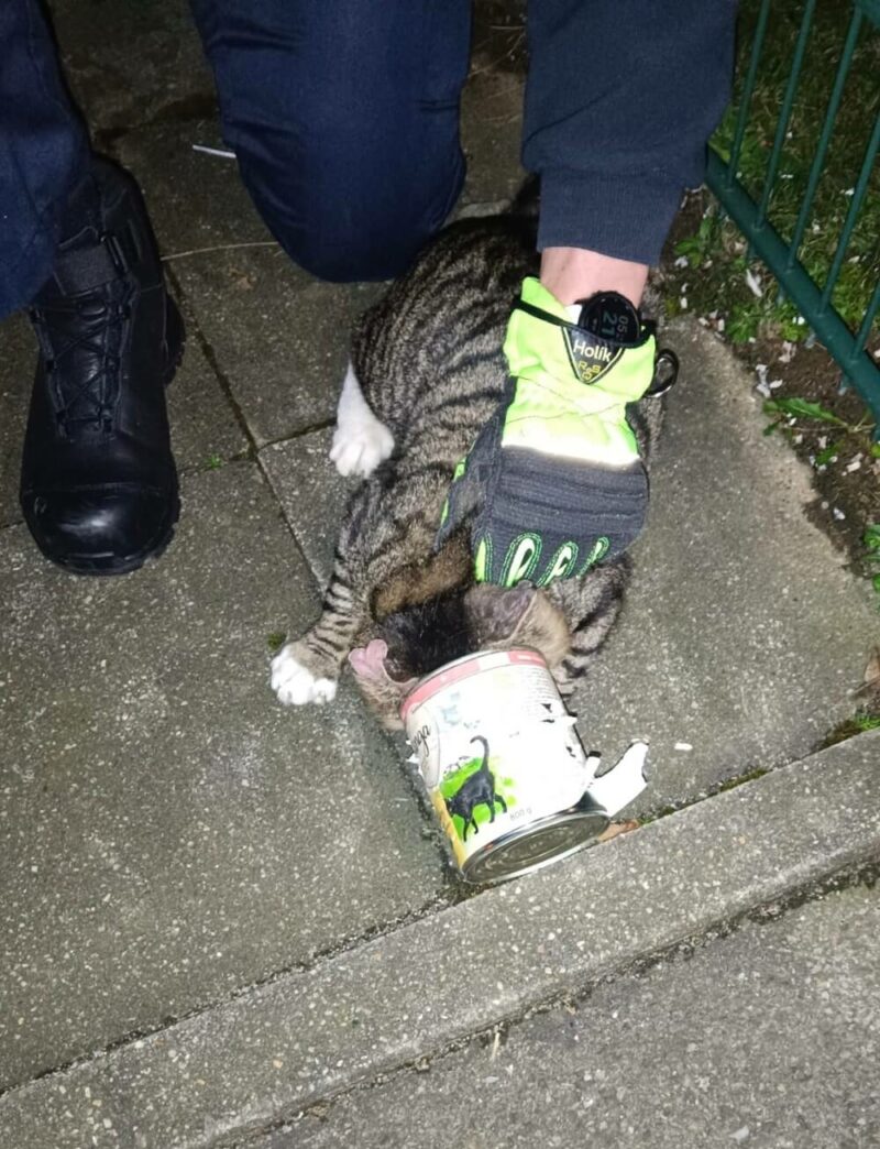 Feuerwehrmann mit der Katze, die in der Dose klemmt.