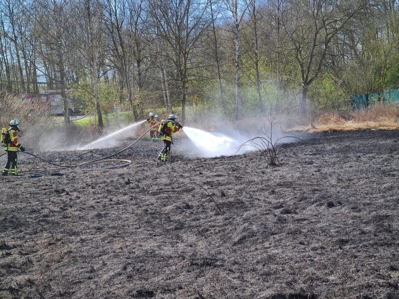 Ödlandbrand