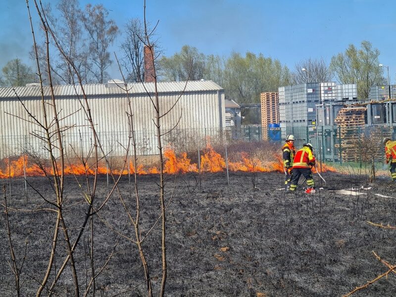 Flächenbrand in Maschen