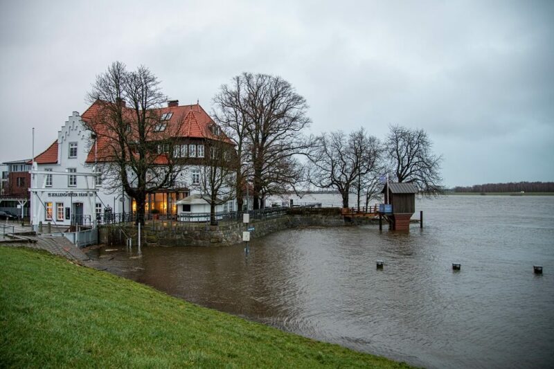 Überflutete Elbe 