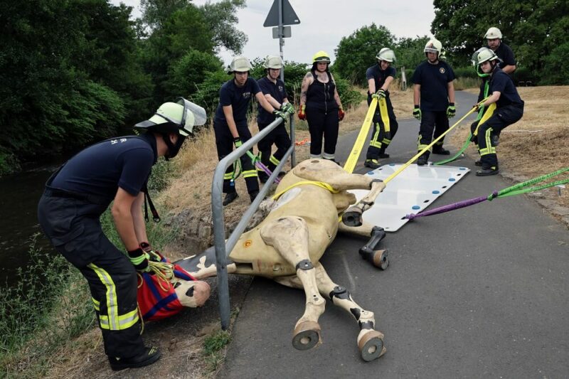 Feuerwehrkräfte üben mit einem Rettungsdummy, die Rettung und Bergung eines Großtiers