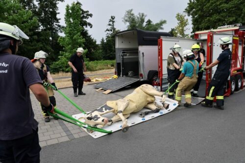 Die Einsatzkräfte versuchen den 200 kg schweren Dummy zum Pferdeanhänger zu transportieren. 