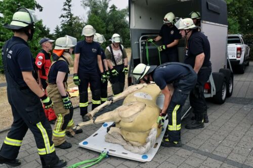 In 90 % der Fälle werden Tierrettungen mit reiner Muskelkraft durchgeführt. So auch hier.