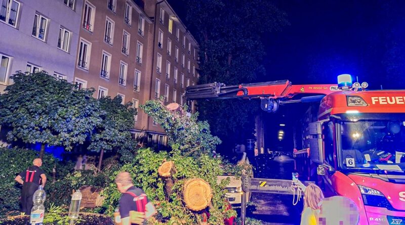 Einsatzstelle der Feuerwehr München, die einen durch Tief Ronson gestürzten Baum von der Straße räumt.