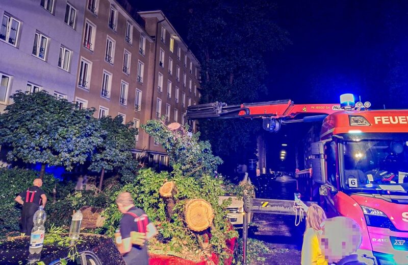 Einsatzstelle der Feuerwehr München, die einen durch Tief Ronson gestürzten Baum von der Straße räumt.