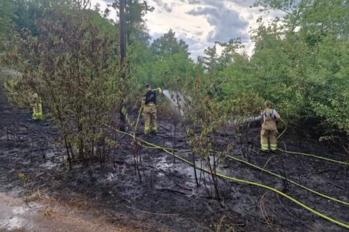 Zwei Feuerwehrkräfte löschen den Waldbrand mit Strahlrohren.