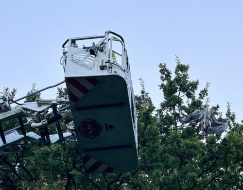 Mit der Drehleiter näherten sich die Einsatzkräfte vorsichtig dem im Baum gefangenen Reiher. Foto: Chris Hartmann