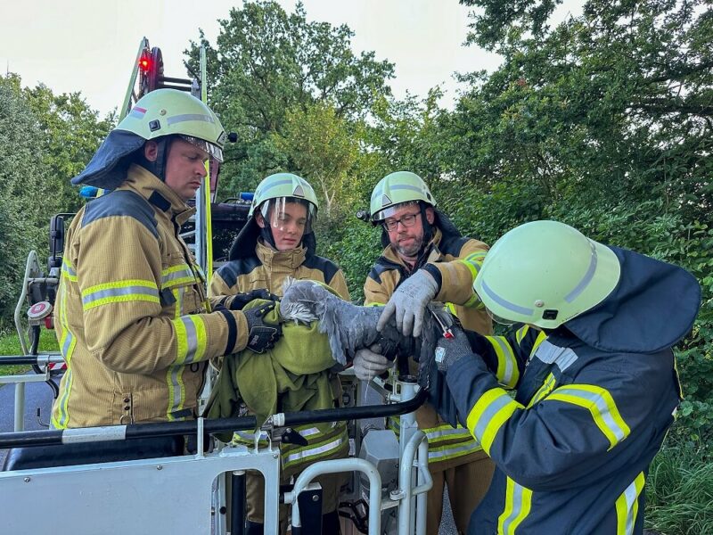 In eine Decke eingewickelt transportierten die Einsatzkräfte den Reiher sanft nach unten und befreiten ihn dort von der Drachenschnur. Foto: Chris Hartmann