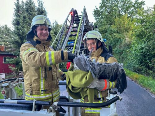Die Feuerwehrmänner Sascha Gerkens und Timm Freund brachten das erschöpfte Tier behutsam zu Boden. Foto: Chris Hartmann