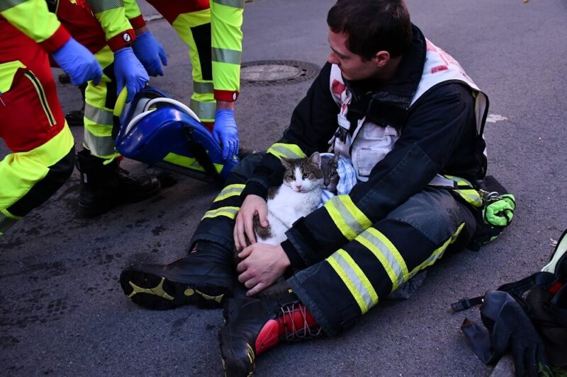 Gut versorgt: Der Rettungsdienst gab beiden Katzen Sauerstoff. Foto: Feuerwehr Dortmund