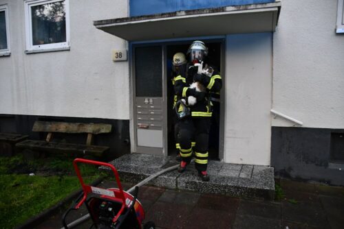 Katzenrettung geglückt: Der Feuerwehrmann trägt die zweite Katze aus dem Haus. Foto: Feuerwehr Dortmund