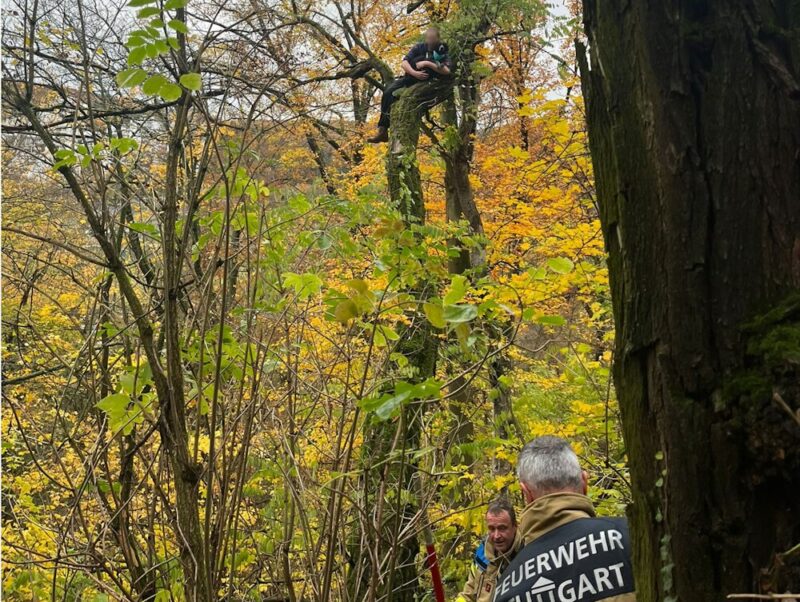 Ein Mann rettet Hund vom Baum.