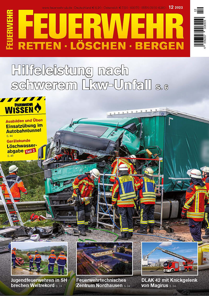 Wildunfall - was tun? Das sollten Autofahrer jetzt wissen