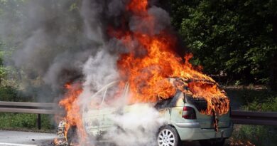 Fahrzeugbrand auf dem Standstreifen