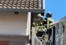 Kippfenster: eine Gefahr für Katzen
