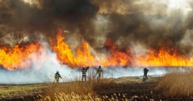 Waldbrand mit Feuerwehreinsatzkräften