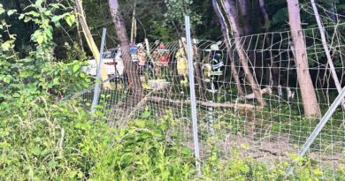 Verkehrsunfall: Eine Person eingeklemmt, eine weitere vermisst