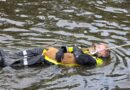 Tierrettung: „Kuscheln mit einem Reh“