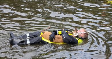 Tierrettung: „Kuscheln mit einem Reh“
