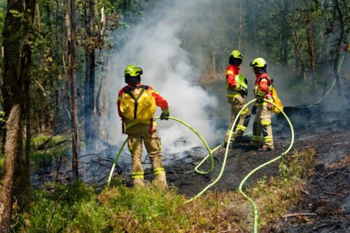 Im Wandel: In den letzten Jahren hat sich der Einsatz von D-Schläuchen und eine leichte Kleidung zur Vegetationsbrandbekämpfung etabliert. (Symbolfoto: Carsten Schmidt, FF Bleckede)